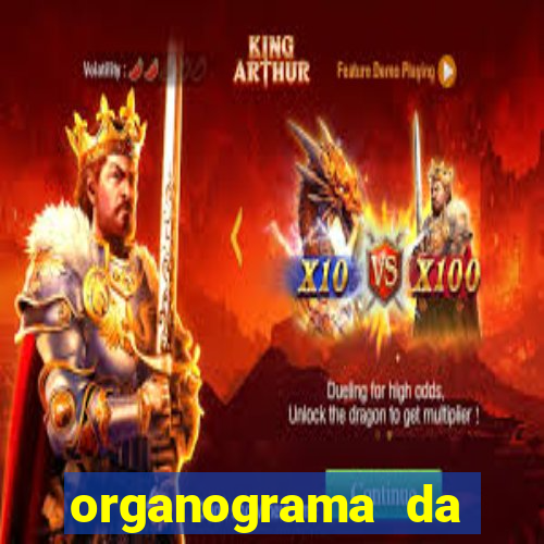 organograma da cacau show